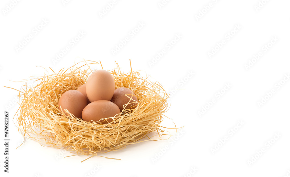 hen egg hen egg