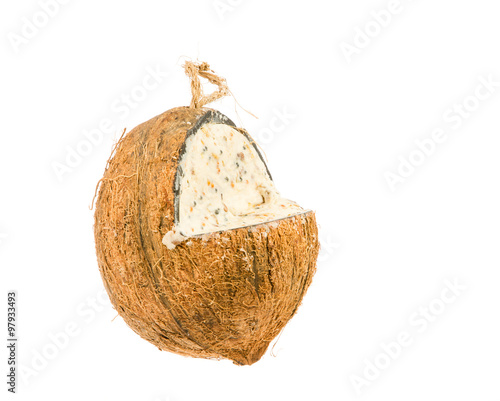 Cocunut fat feeder for birds