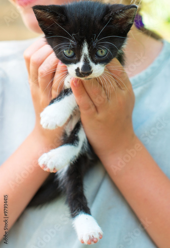 Child hands holding little kitten.