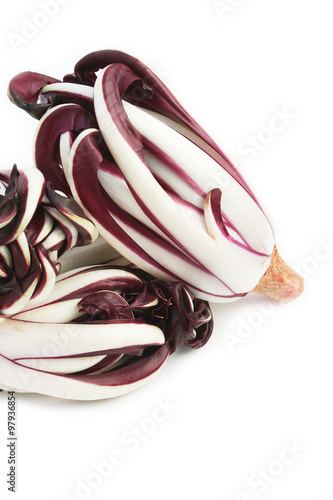 radicchio rosso tardivo su sfondo bianco photo