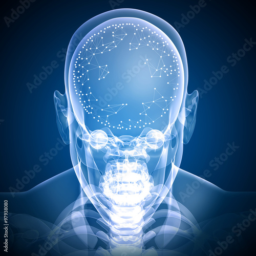 Front face skull x-ray image