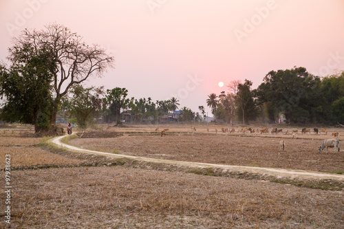 Dry season in Asia