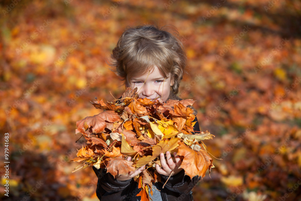 Cute little boy with heap of autumn leaves in his hands. Cute little boy with heap of autumn leaves in his hands.