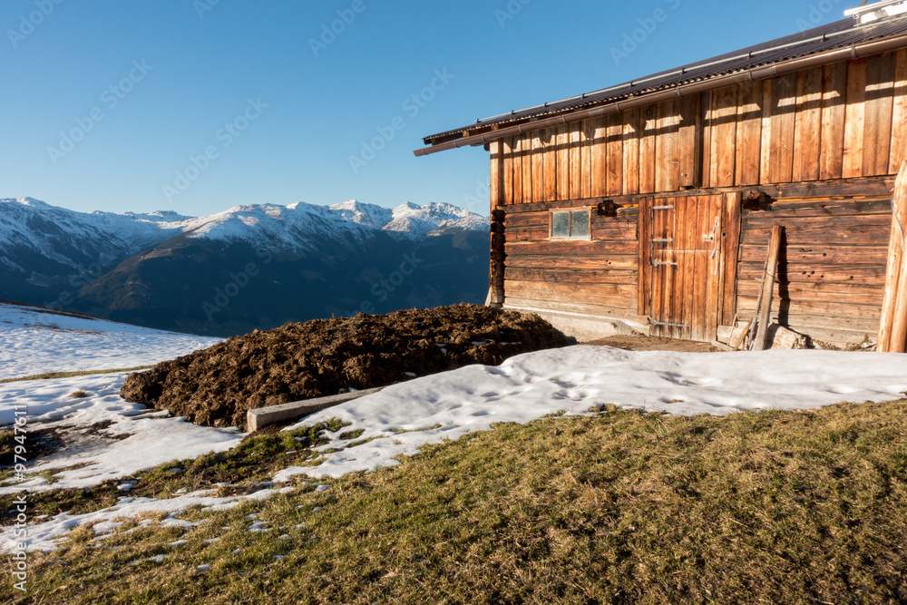 Misthaufen an der Almhütte