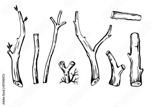 Set of branches.