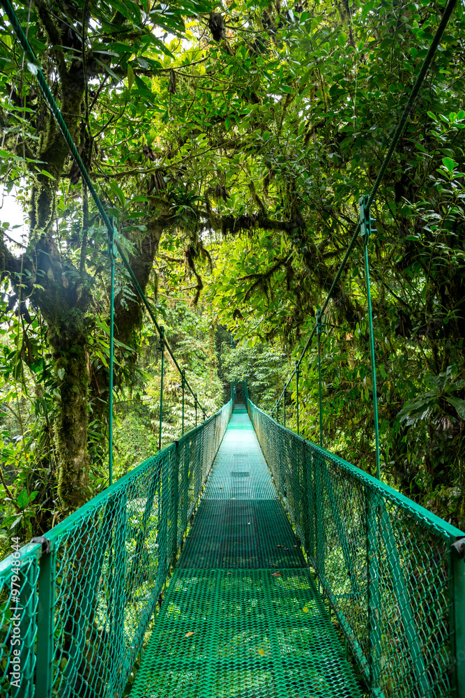 eine Brücke im Regenwald in Costa Rica