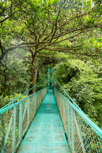 eine Br  cke im Regenwald in Costa Rica