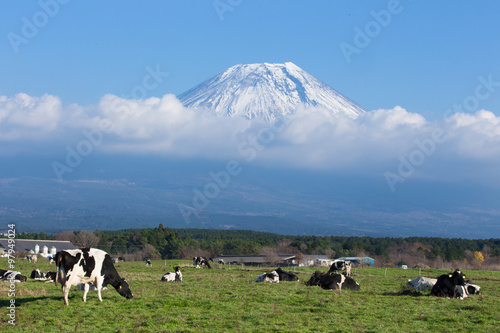 霧降高原の牧場と富士山