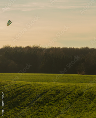 Kite in a beautiful landscape by sunset 