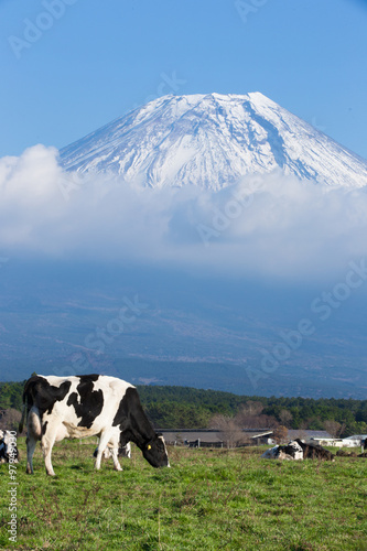 霧降高原の牧場と富士山