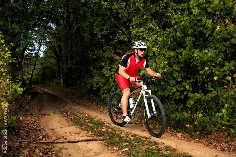 Young man cycling in the forest Young man cycling in the forest