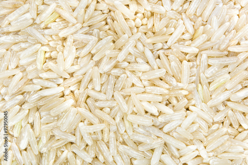 close up shot of oat(textured)
