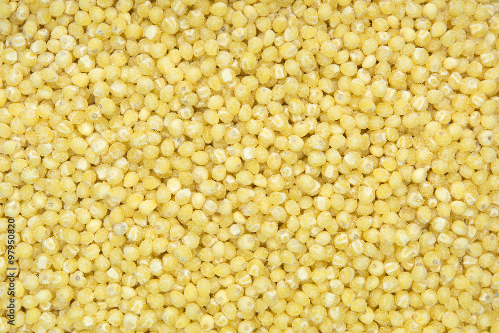 close up shot of oat(textured) close up shot of oat(textured)