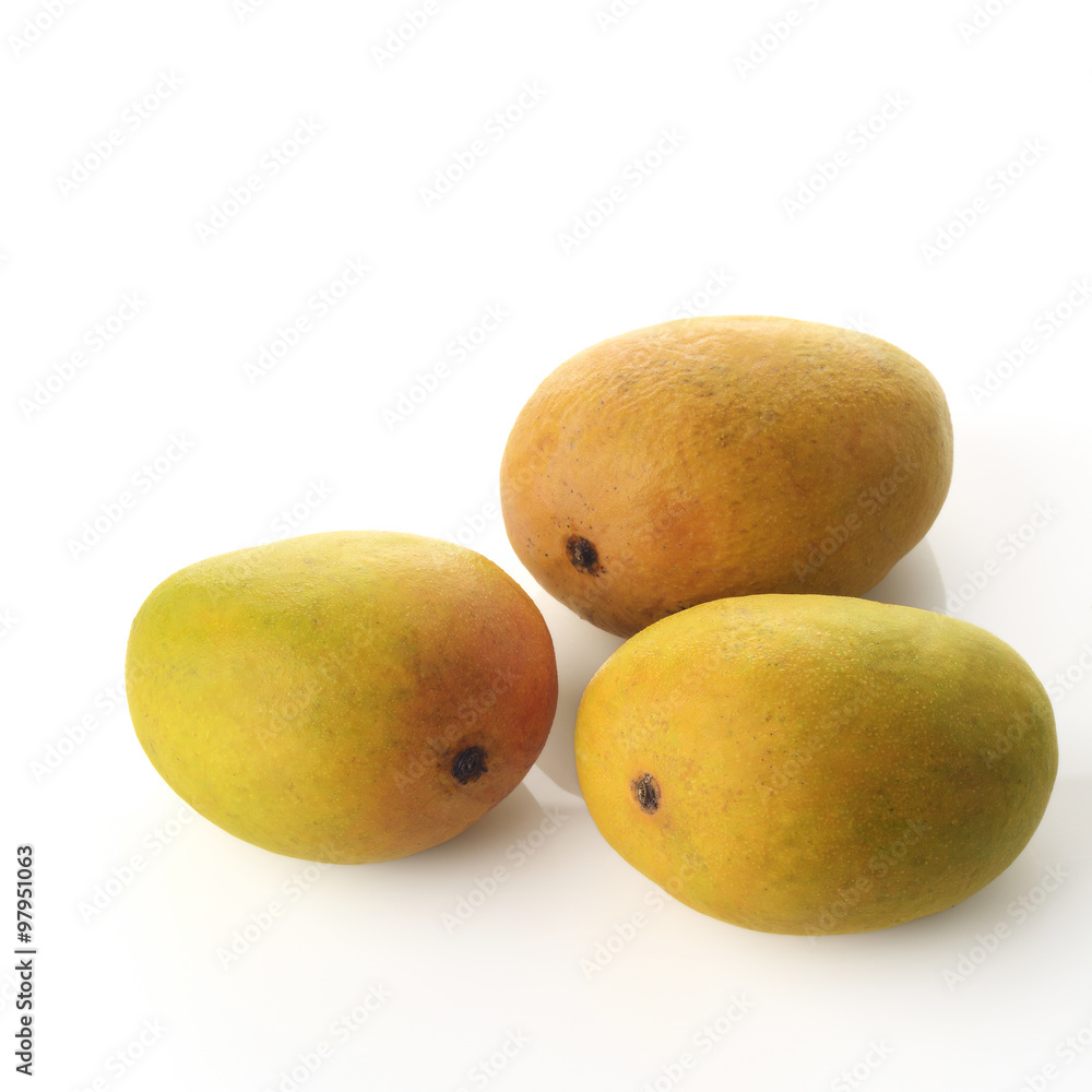 Alphonso Mangoes / High resolution image of three fresh Alphonso mangoes over white background shot in studio. Alphonso Mangoes / High resolution image of three fresh Alphonso mangoes over white background shot in studio.