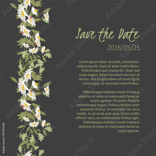 Floral chamomile retro vintage background