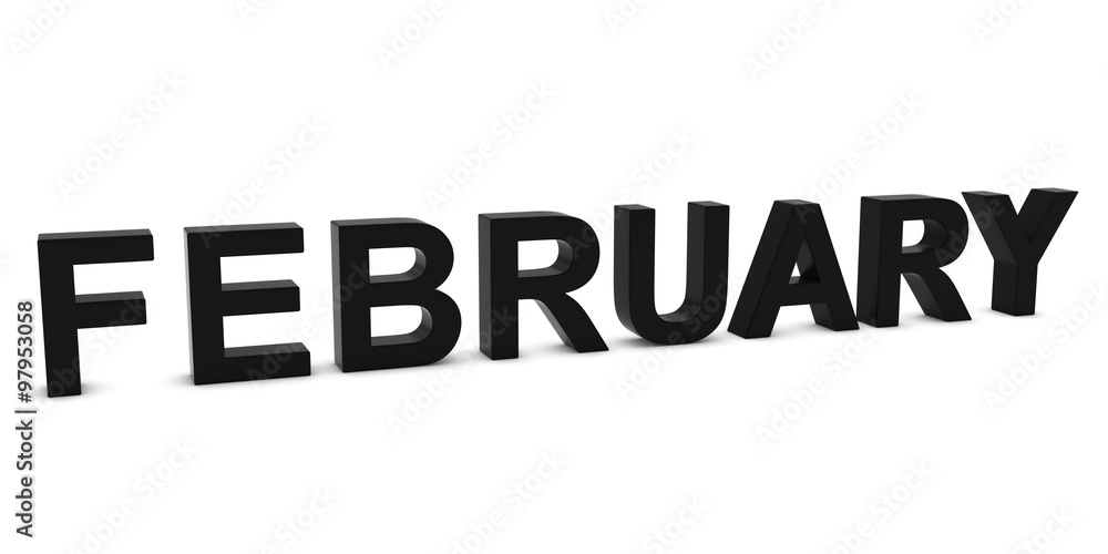 FEBRUARY Black 3D Month Text Isolated on White FEBRUARY Black 3D Month Text Isolated on White
