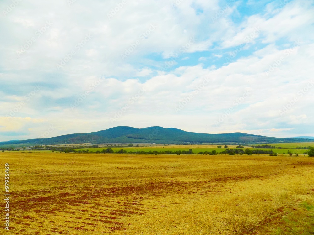 Field after harvest, forest and sky