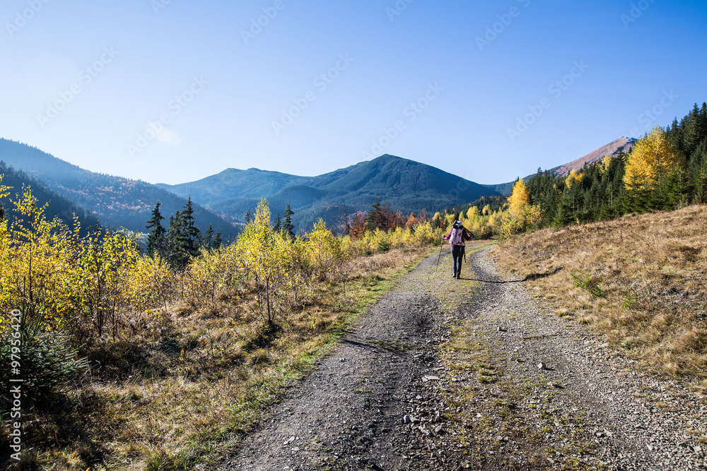 Plakat woman walks in mountains in ukrainian carpathian