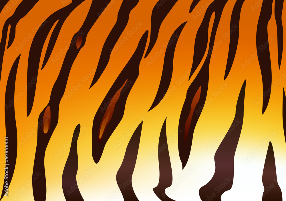 Detail of tiger skin pattern. Vector illustration