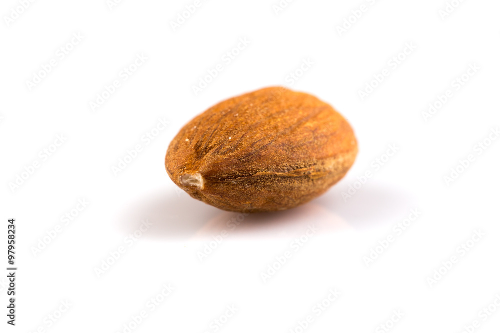 almond on a white background