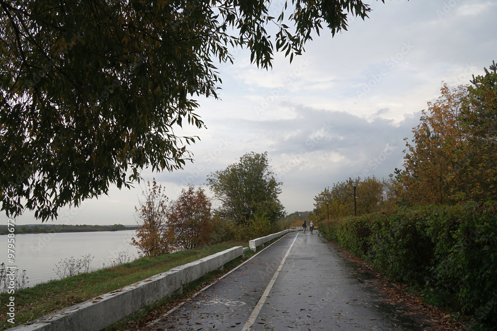 Obraz premium park, rain