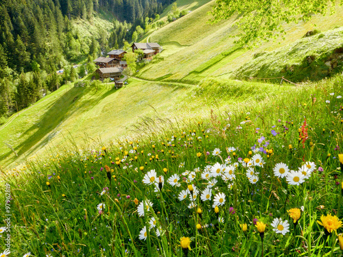 Frühlingsblumen und Bergdorf photo