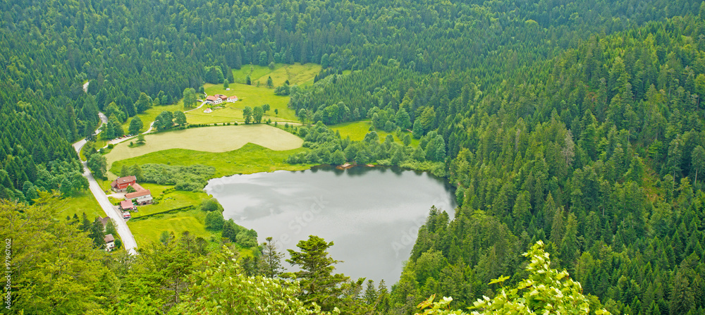 Lake in the mountains of Vosges in summer