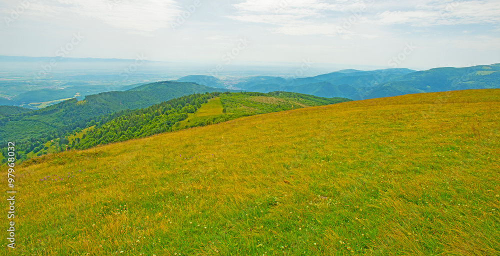 Fototapeta premium Meadows in mountains in summer