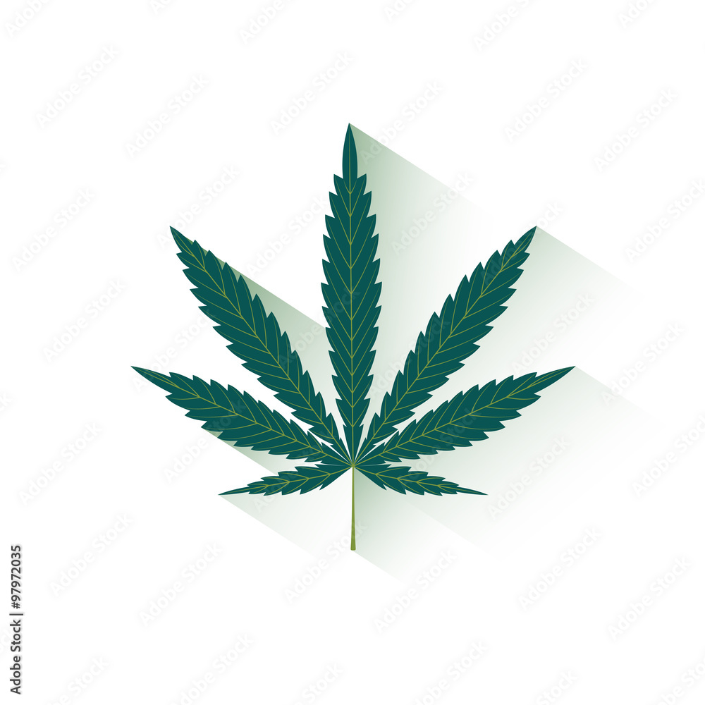 sheet of hempon a white background sheet of hempon a white background