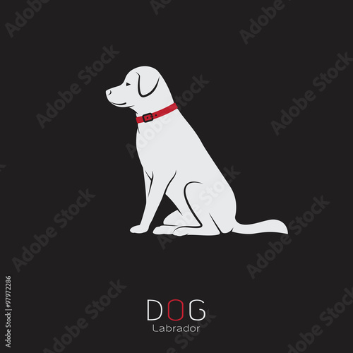 Vector image of an dog labrador on a black background