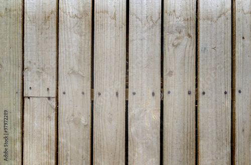Wood Background Texture 