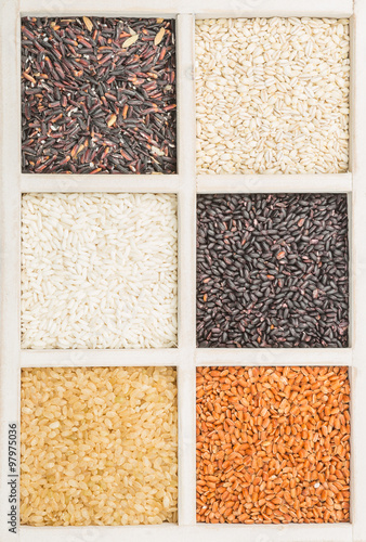Rice and millet grains assortment in white box over white background