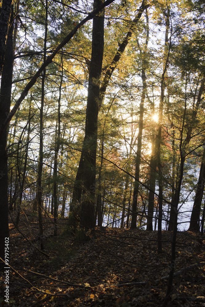 Obraz premium Lake James State Park in North Carolina