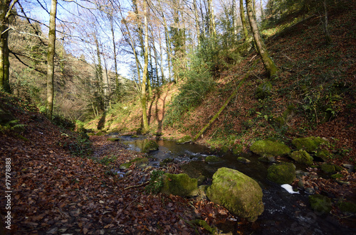 ruisseau de montagne.