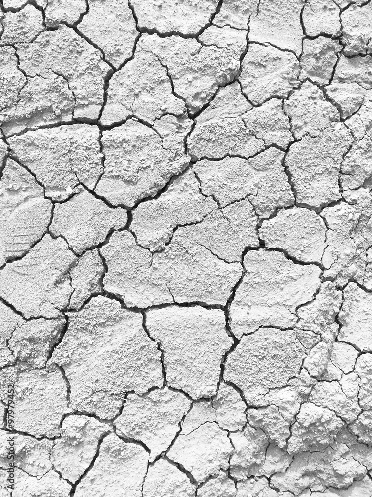 The arid soil The arid soil