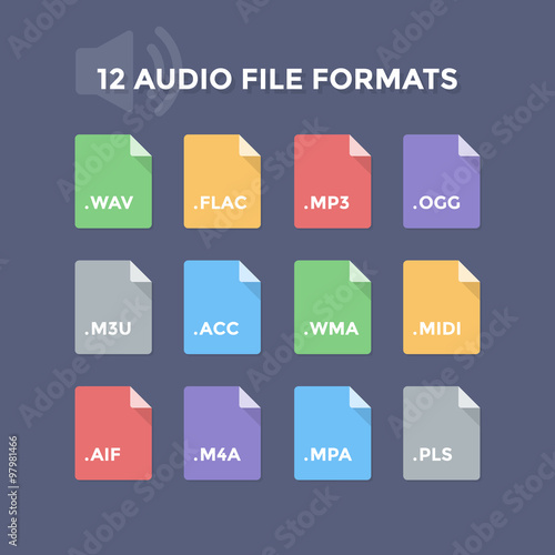 Audio File Formats