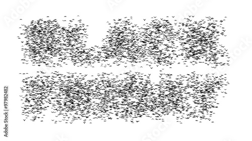 A duple flock of flying birds forms the words BLACK FRIDAY - part of timelapse, stop motion, gif animation