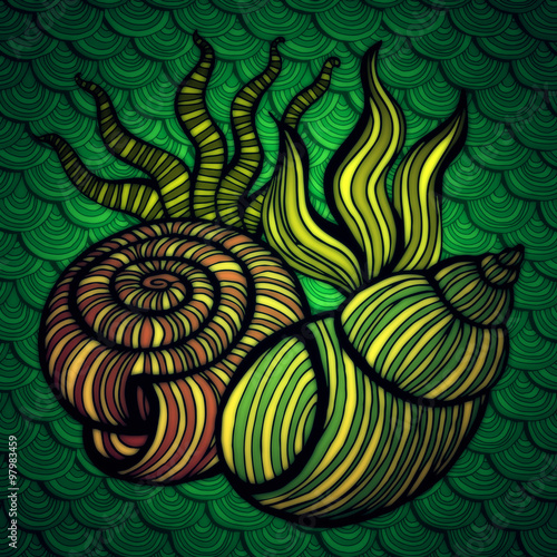 Beautiful sea shell set .