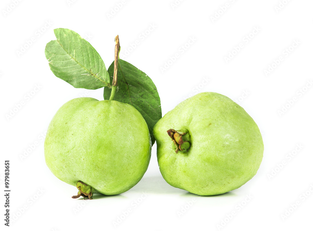 Fresh green Guava fruit on white background Fresh green Guava fruit on white background