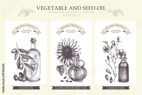 Vector card design with hand drawn vegetables and seed-oil illustration. Vintage healthy food illustration. Decorative engraved oil sketch isolated on white.