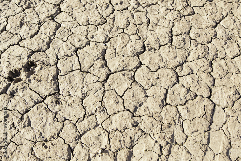 Dry soil by drought