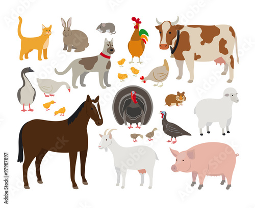 Set of Farm Animals