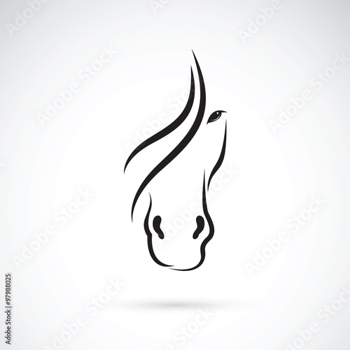 Vector of a horse face design on white background. Animal. 