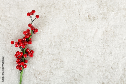 mistletoe on snow photo