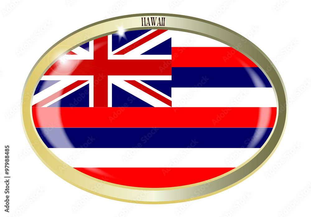 Hawaii State Flag Oval Button Hawaii State Flag Oval Button