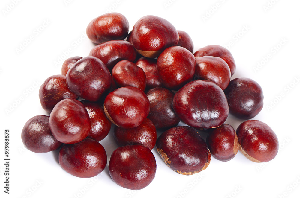 Mature chestnuts isolated on white background Mature chestnuts isolated on white background