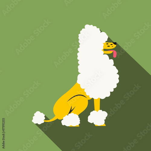 Circus poodle flat illustration