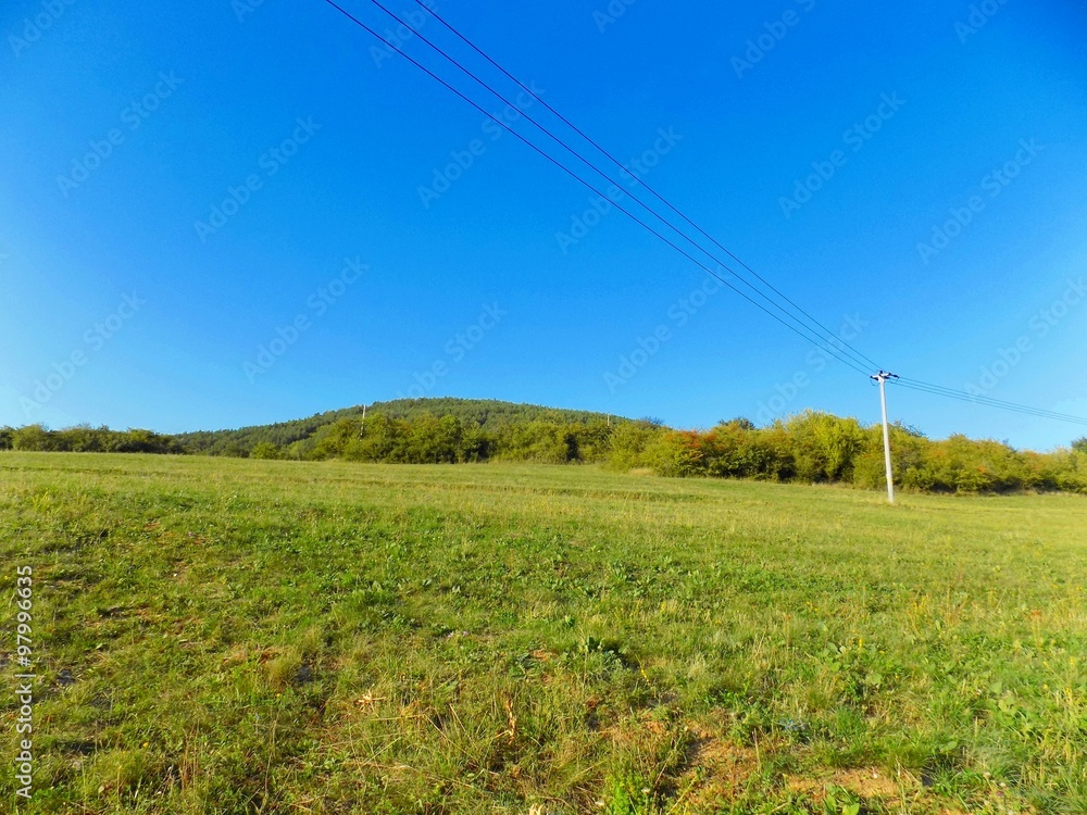 Power line on meadow, forest and sky Power line on meadow, forest and sky