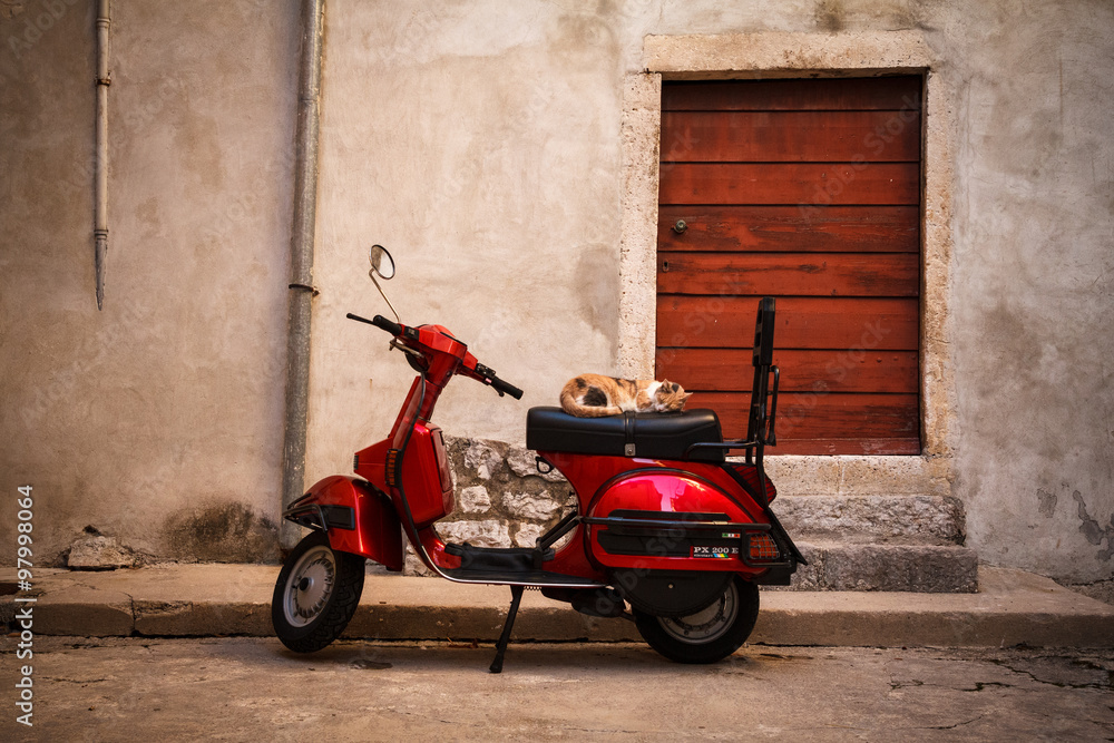 Fototapeta premium Cat sleeping on seat of red scooter parked in quiet alley