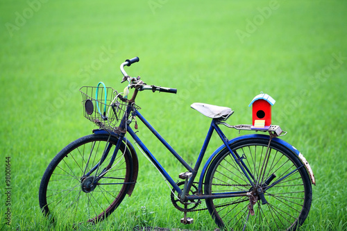 colorful bird house on old bicycle.